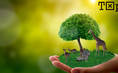 Día Mundial del Medio Ambiente: un compromiso enorme con nuestro futuro