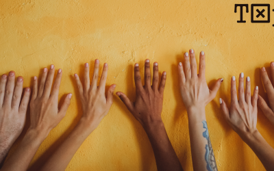 La diversidad de pensamiento entre los opositores: enfoques y estrategias de estudio