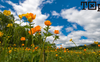 Junio: el mes decisivo para los aspirantes a funcionario